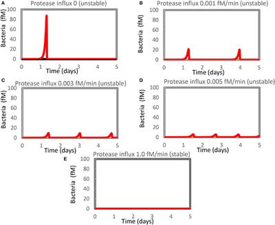 Complex Stability and an Irrevertible Transition Reverted by Peptide and Fibroblasts in a Dynamic Model of Innate Immunity